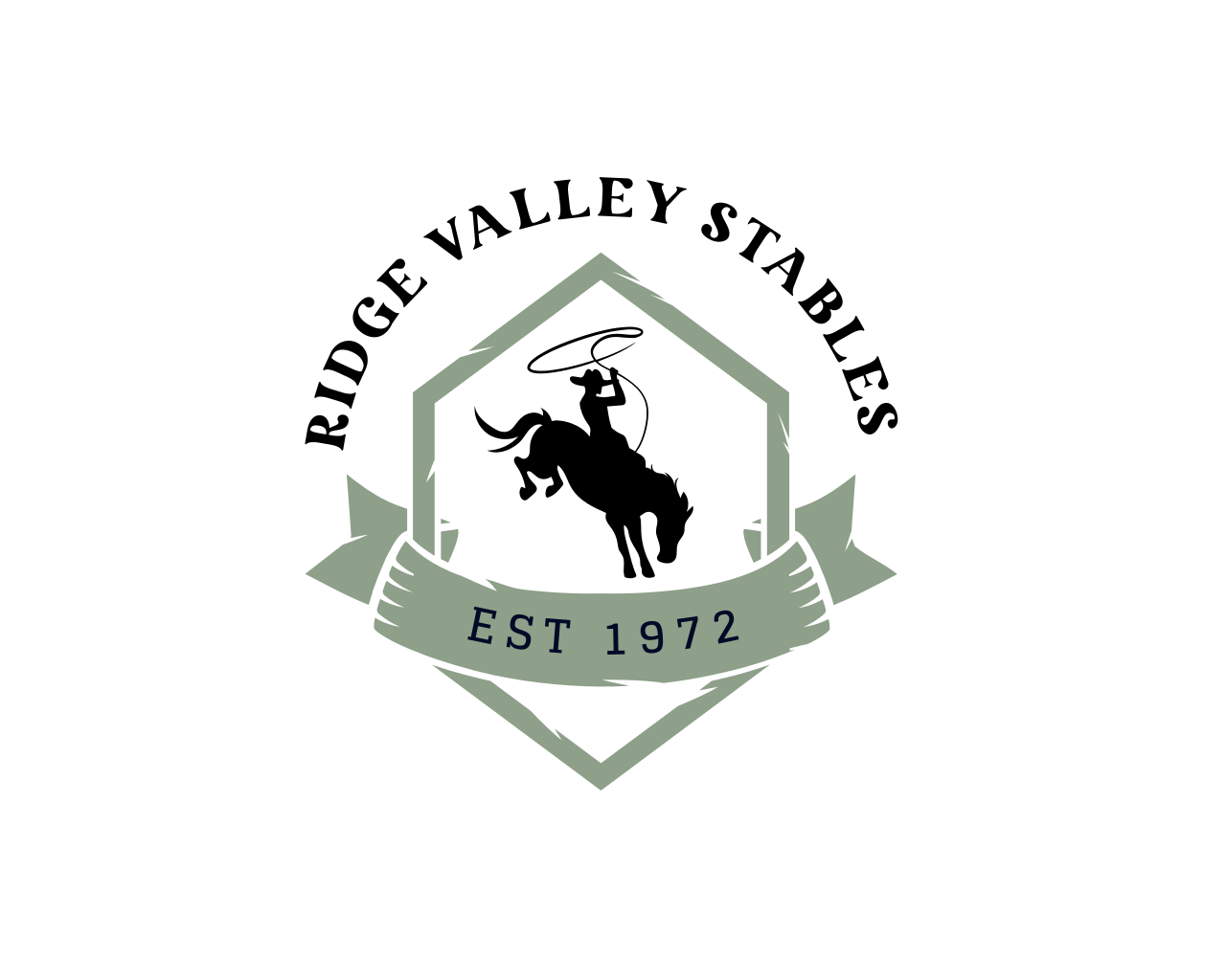 RVS Summer Program - Logo