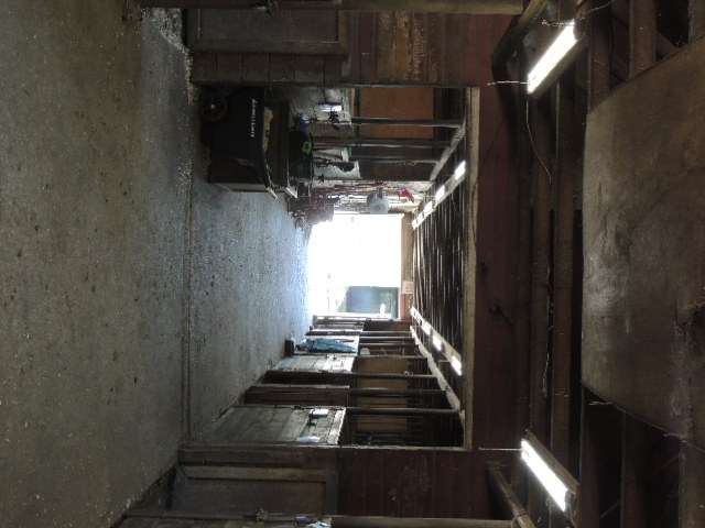 RVS Summer Program 2