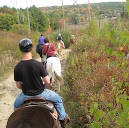 Autumn Local Ride with Ridge Valley Riding Stables